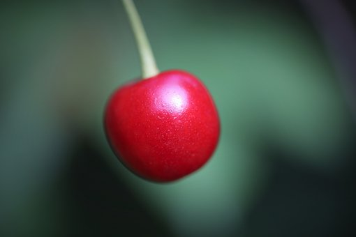 282741