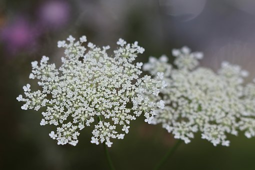 55330