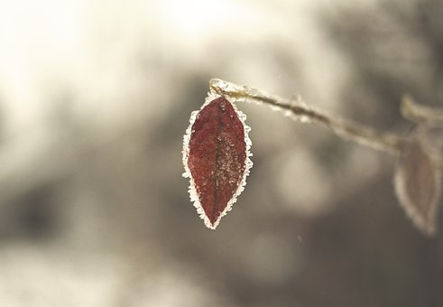 245514