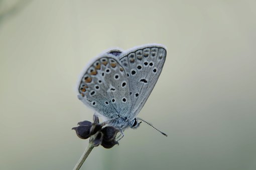 252055