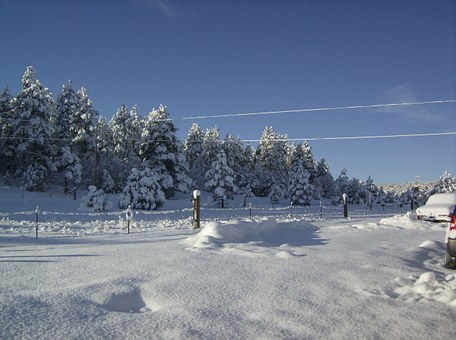 12002