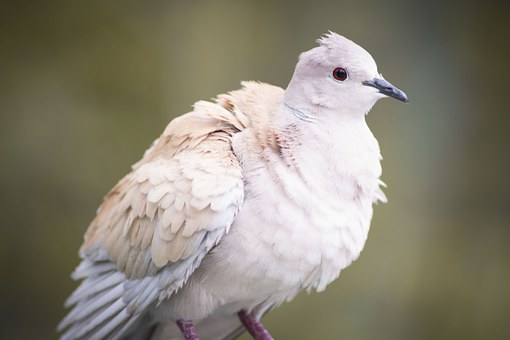 3105