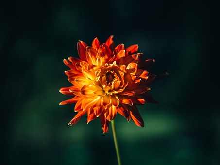 245816