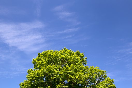 36367