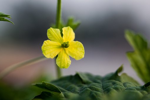 142050