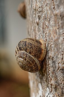 7411