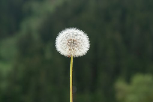 185343