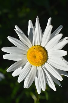 113546