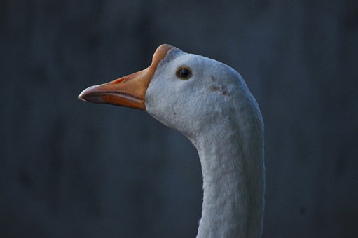 195626