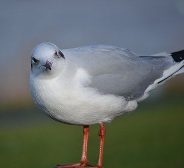 104768