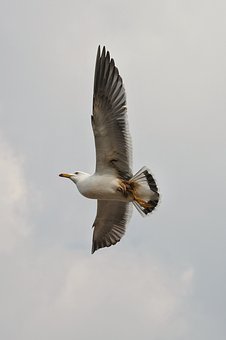 128682