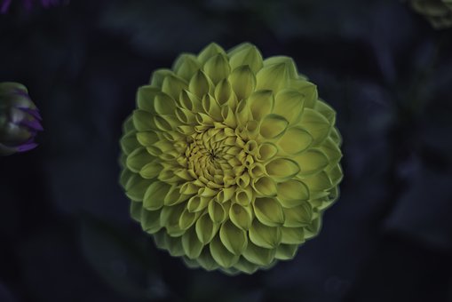 277070