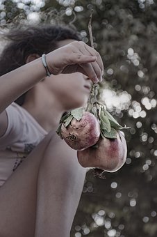 5441