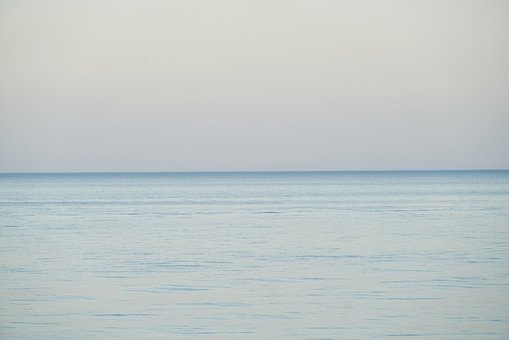 116007