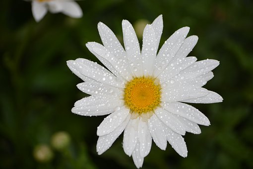 168506