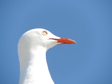 217765