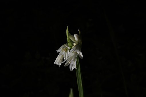 134167