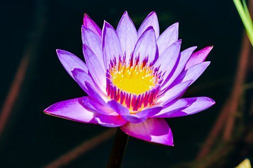 125909