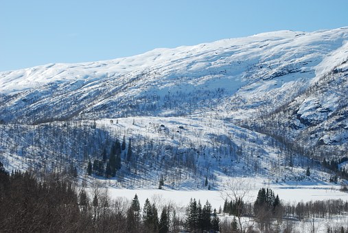 201239