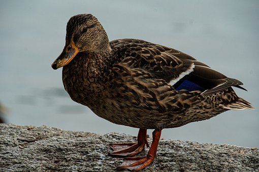 237129
