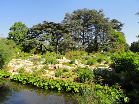 20054