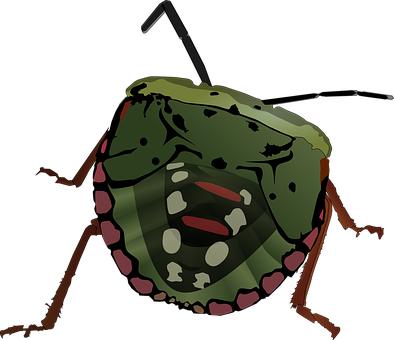 23269