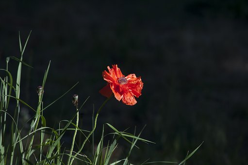 117303