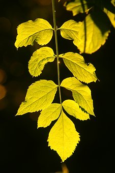 186390