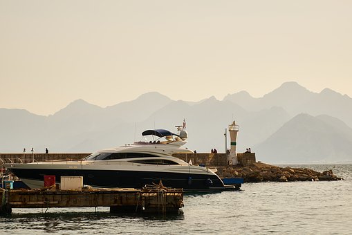12006
