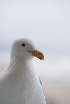 138212