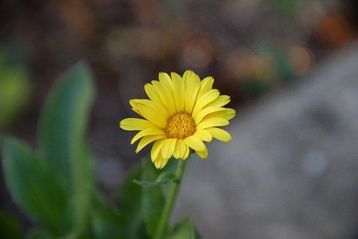172516