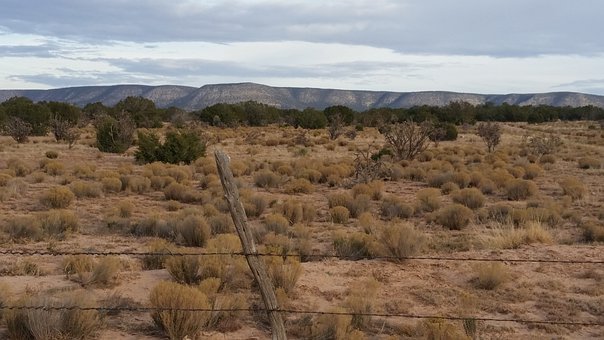 264053