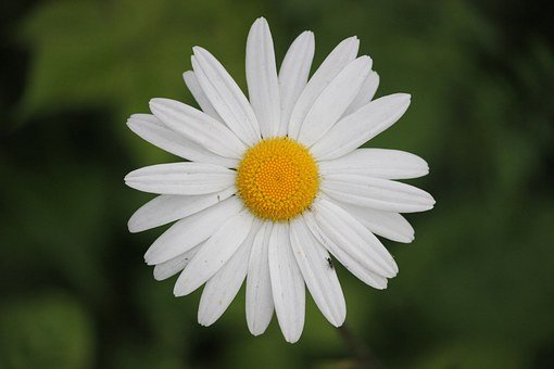103975
