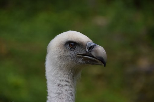 153142