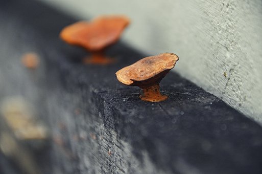 155573