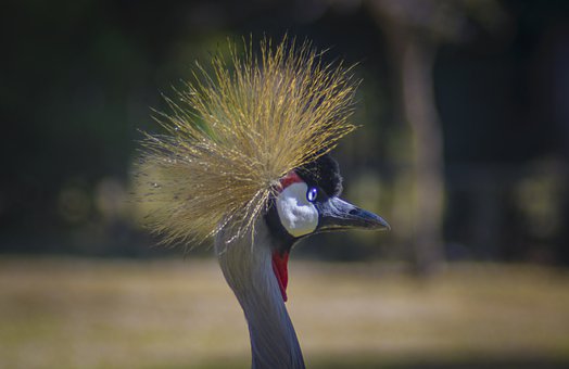 23193