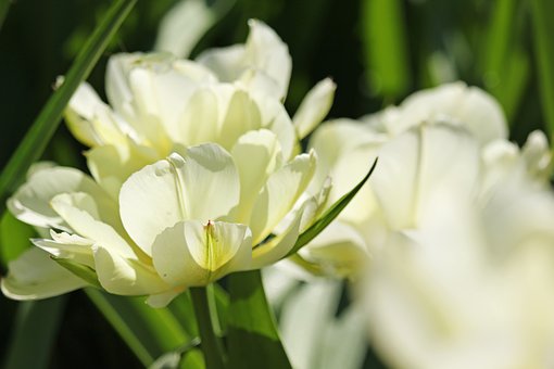 587