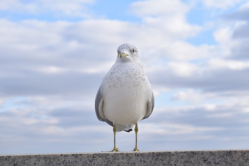 286534