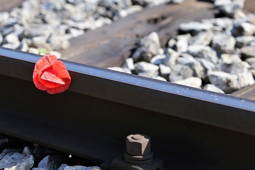 26686