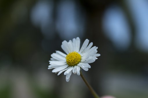 427848