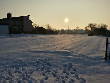 275524