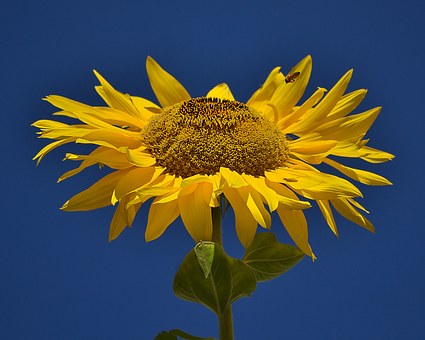 51790