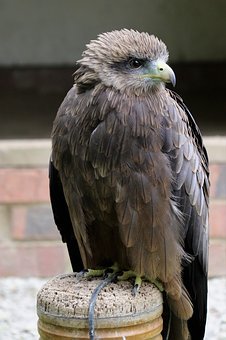 250378