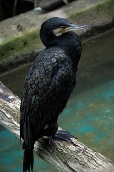 256791