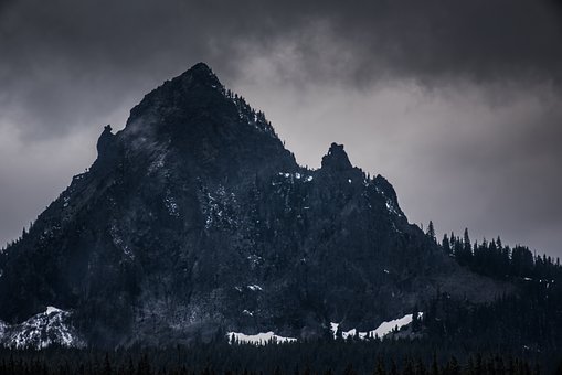 233533