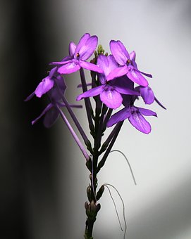 97318