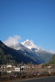 302217
