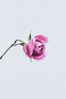 89640