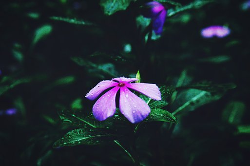 155035
