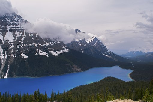 113177
